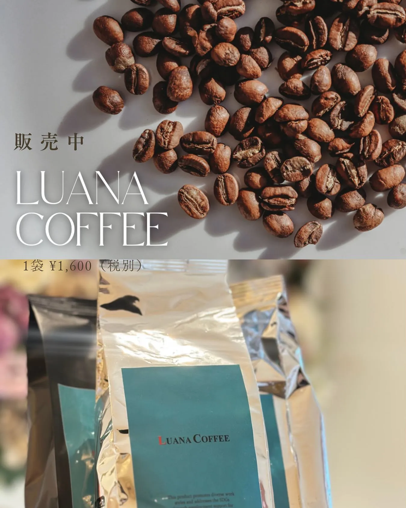 Luana  coffee販売中です♪