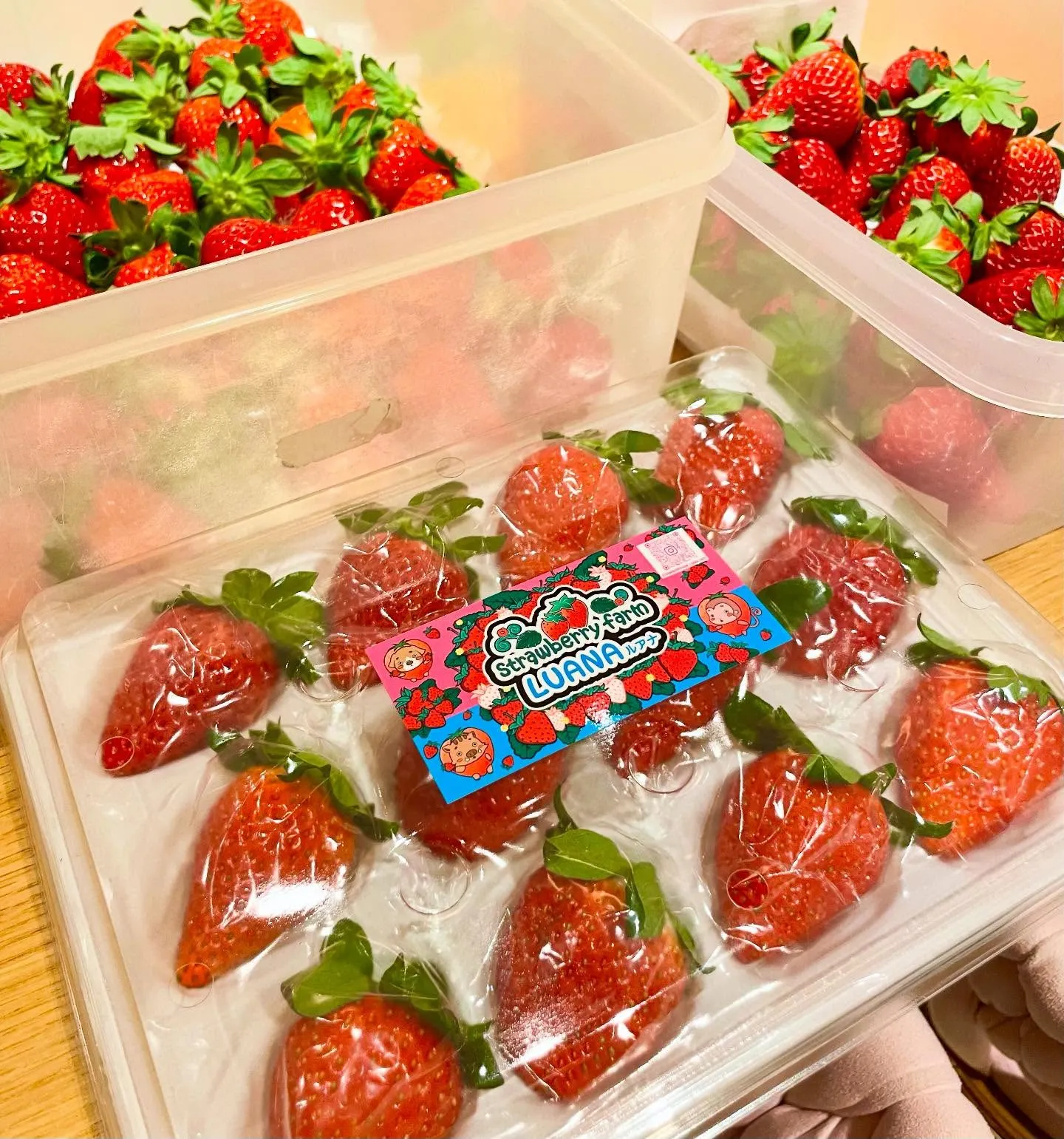 今年のクリスマスショートケーキは@strawberryfar...