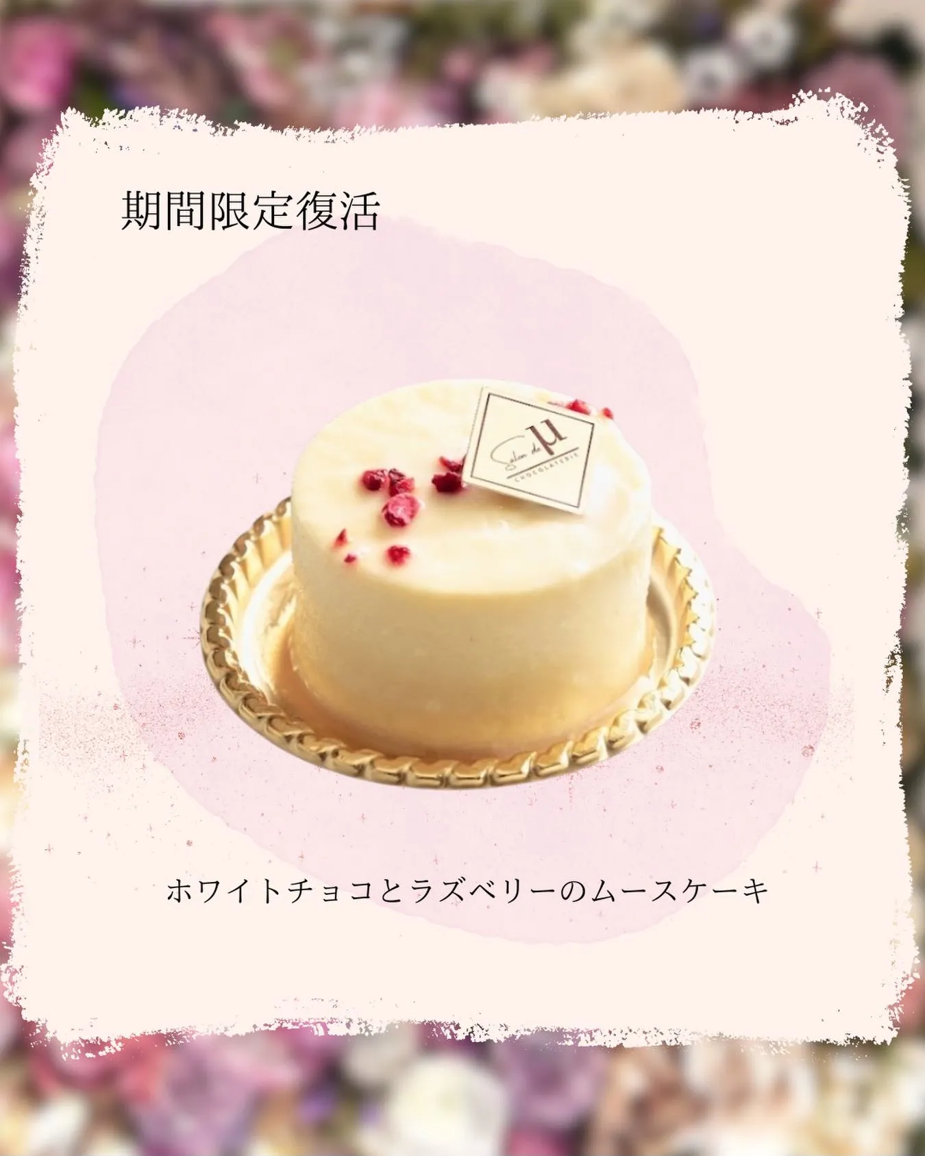 🤍 期間限定復活 🤍